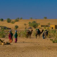 camel-safari-india-4-bikaner 