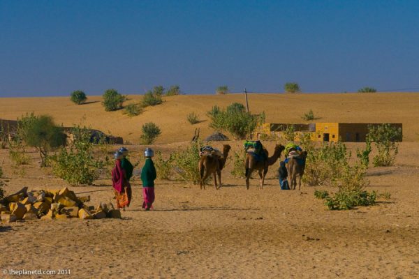 camel-safari-india-4-bikaner